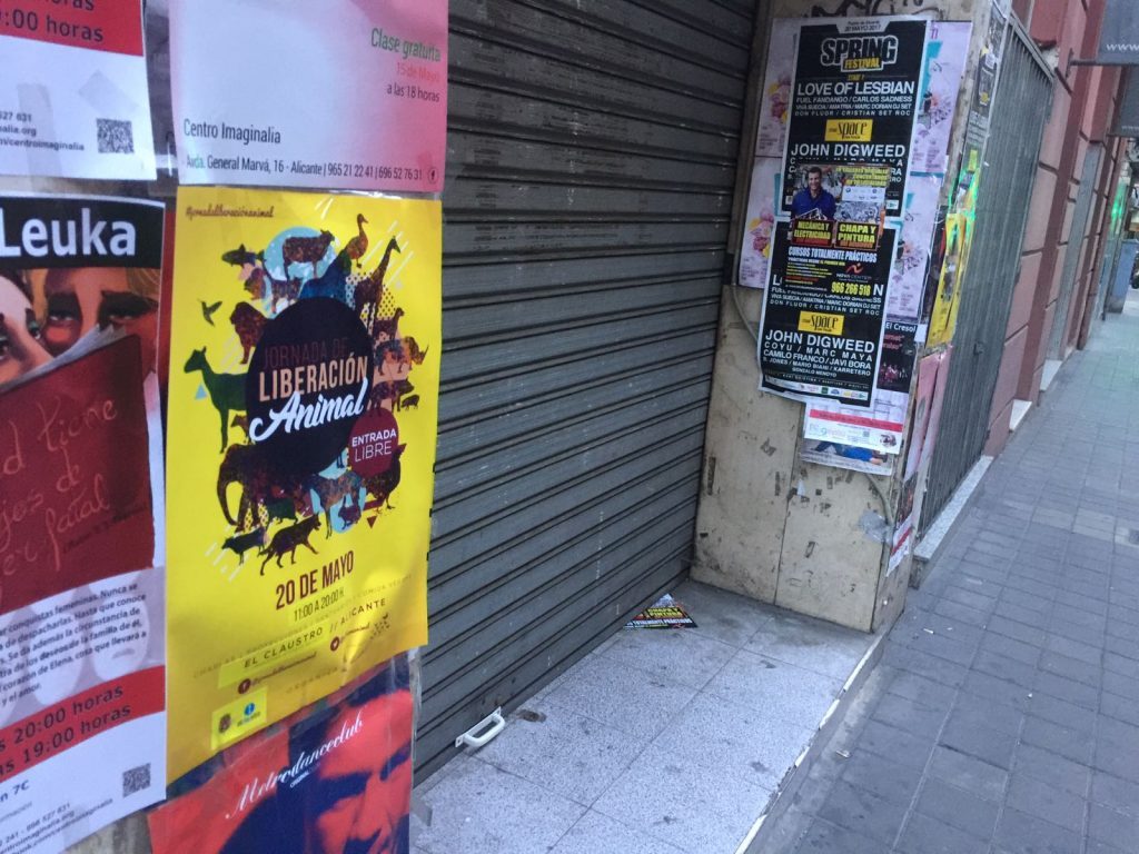Marisol Moreno comparte que se empapele Alicante de carteles animalistas Marisol Moreno comparte que se empapele Alicante de carteles animalistas