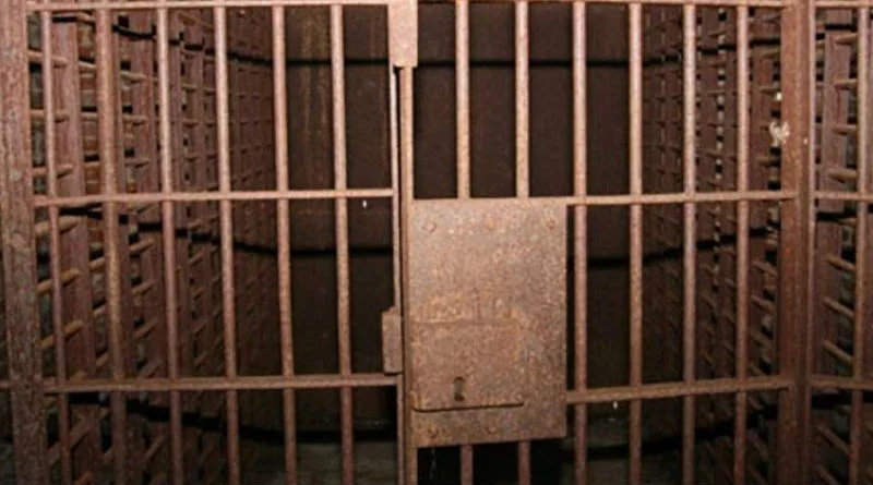 Jaulas para tránsfugas