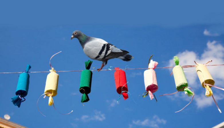 Guanyar pide multar a las pirotecnias de las mascletàs por espantar a las palomas