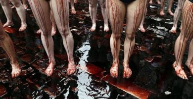 Veganos contra antitaurinos