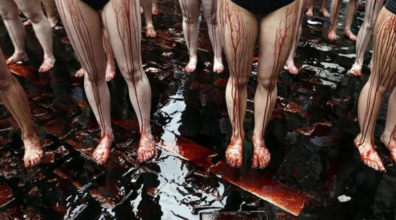 Veganos contra antitaurinos