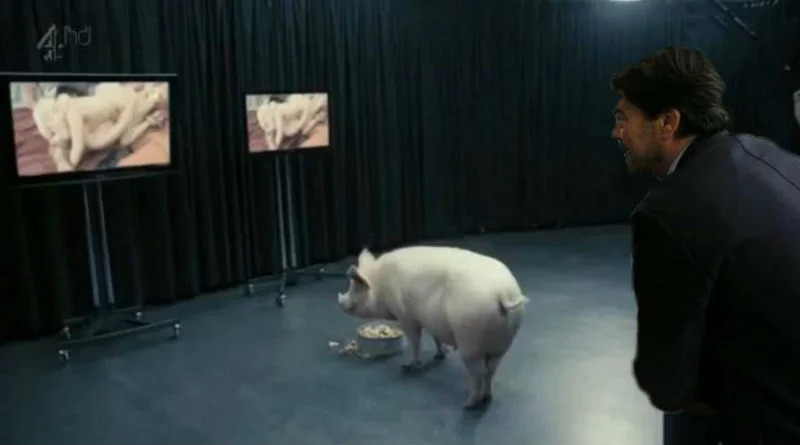 Que Barcala se folle a un cerdo, entre las condiciones de Echávarri para dimitir