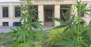marihuana en la Plaza de la Montañeta