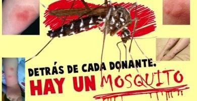 picaduras de mosquitos en Alicante