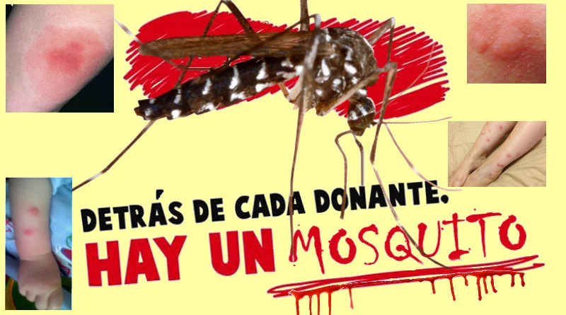 picaduras de mosquitos en Alicante
