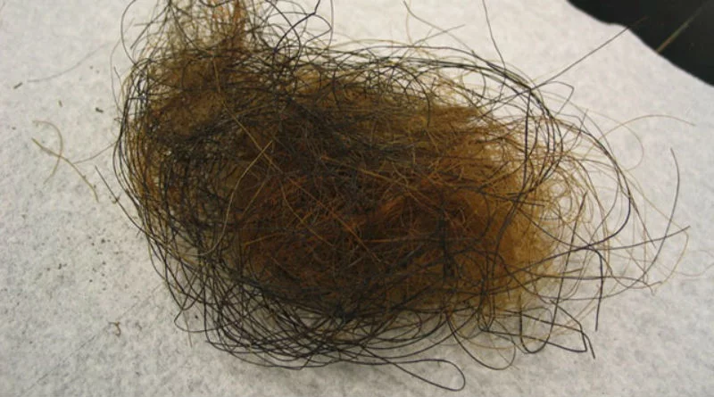 alfred bola pelo garganta